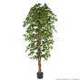 künstlicher Baum Ficus Exotica 170 180cm creme grün 4er Pack Basistopf