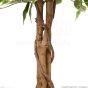 künstlicher Baum Ficus Exotica 170 180cm creme grün 4er Pack Stamm