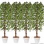 künstlicher Baum Ficus Exotica 170 180cm creme grün 4er Pack Übertopf Reihe