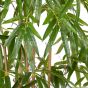 künstlicher Chinesischer Bambus 90cm Naturstämme Blätter