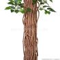 künstlicher Ficus Liane Miniblatt De Luxe grün 180cm Kunstbaum Stamm
