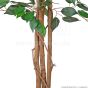 künstlicher Ficus Naturstamm 170 180cm 4er Pack Stämme