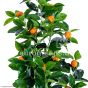 künstlicher Orangenbaum 80 90cm Detail mit Fr Chten Eg24 1023