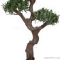 künstlicher Podocarpus Bonsai 130cm Stamm
