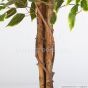 Kunstbaum Ficus Exotica 120cm Blätter grün creme Stamm