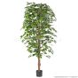 Kunstbaum Ficus Exotica 180cm Blätter grün creme Basistopf