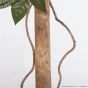 Kunstbaum künstliche Carpensia 120cm Stammdetail