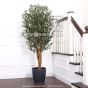 Kunstbaum künstliche Olive Mediterrana Mini 180cm mit Früchten