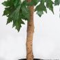 Kunstbaum künstlicher Kanada Ahorn 150 cm Stamm