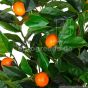 Kunstlicher Orangenbaum mit Früchten 115cm Blätter Früchte