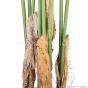 Kunstpalme künstliche Kentiapalme 110cm Palmenfaser Palmstamm