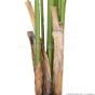 Kunstpalme künstliche Kentiapalme 140cm Palmenfaser Stamm