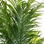 Kunstpalme künstliche Kentiapalme 190cm Palmenfaser Palmwedel