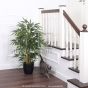 Kunstpflanze Bambus Ega Bb120 1