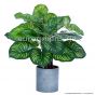 Kunstpflanze Caladium Piper Buntwurz Buntblatt 45 cm