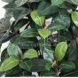 Kunstpflanze Gumibaum Eg7 7650 2