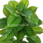 Kunstpflanze Künstlciher Philodendron Smaragd 85cm Blattdetail Eg47 210
