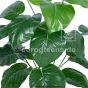 Kunstpflanze künstliche Alocasia Pflanze 70cm