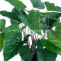 Kunstpflanze künstliche Anthurie Getopft ca. 45cm Detail Eg24 1027