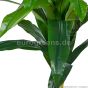 Kunstpflanze künstliche Guzmania Pflanze ca. 95 100cm Blätter