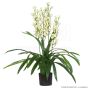 Kunstpflanze künstliche Orchidee Cymbidium 95cm Basistopf