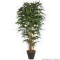 Kunstpflanze künstlicher Jade Bambus 210cm Übertopf