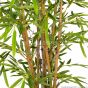 Kunstpflanze künstlicher Japan Bambus 90cm Stamm