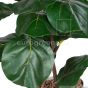 Kunstpflanze Küsntlicher Geigenficus 110cm grün Blätter