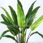 Kunstpflanze Strelitzie ohne Blüten ca. 150cm Blattdetail