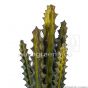 Mini Kaktus 35cm Kunstpflanze Detail Eg32 608