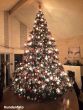 Spritzguss Weihnachtsbaum Oxburgh 4m Kundenfoto