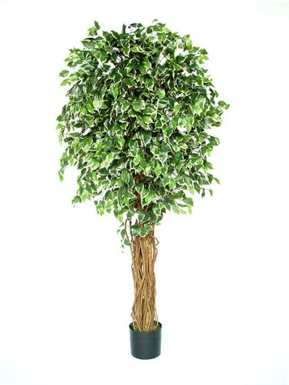 Kunstbaum Fat Ficus Exotika Liane 180cm Blätter grün weiß. 1