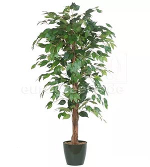 künstlicher Ficus benjamini