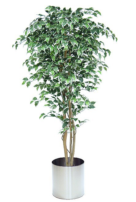 Dekobaum künstlihcer Ficus
