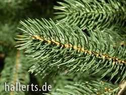 künstlicher Weihnachtsbaum Spritzguss Zweig