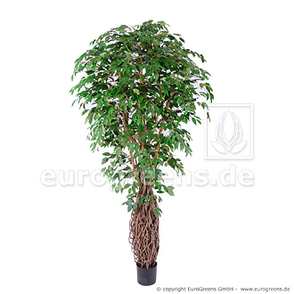 künstlicher Ficus mit Echtholzstamm